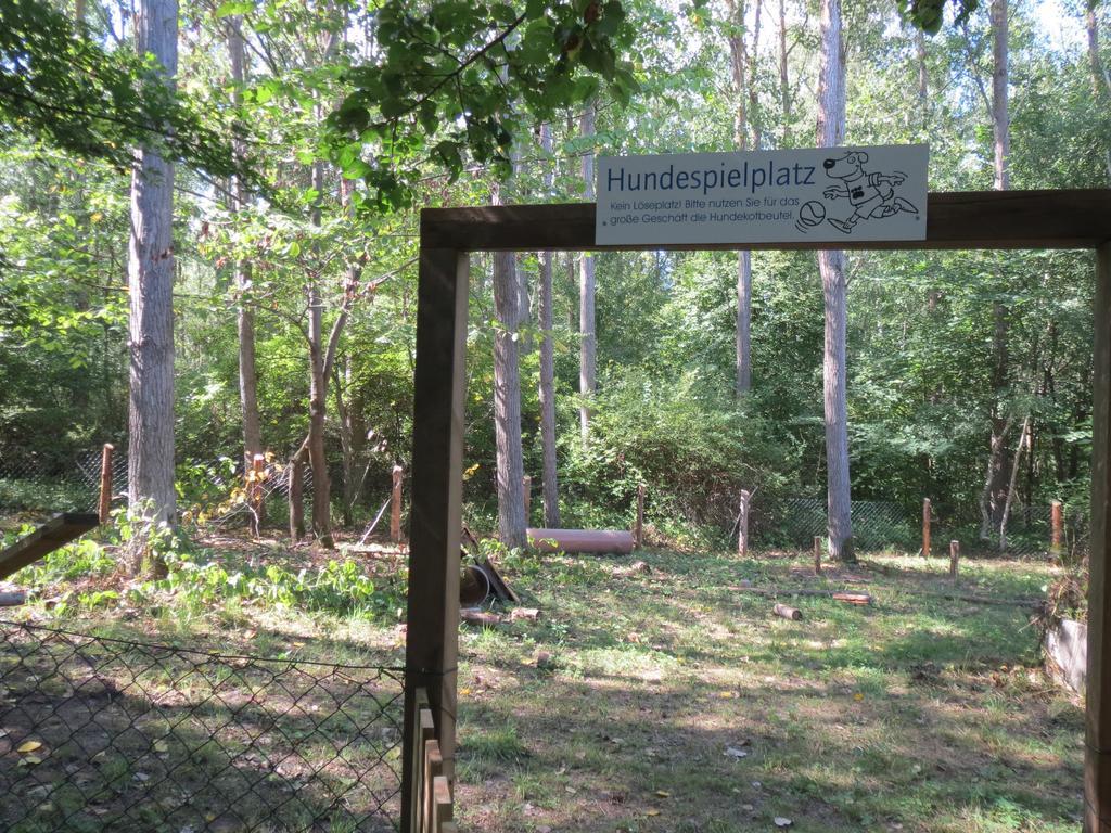 Mueritzparadies - Feriendorf Alte Fahrt Rechlin Zewnętrze zdjęcie
