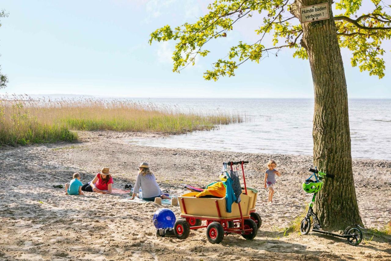 Mueritzparadies - Feriendorf Alte Fahrt Rechlin Zewnętrze zdjęcie
