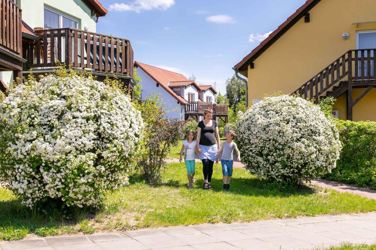 Mueritzparadies - Feriendorf Alte Fahrt Rechlin Zewnętrze zdjęcie